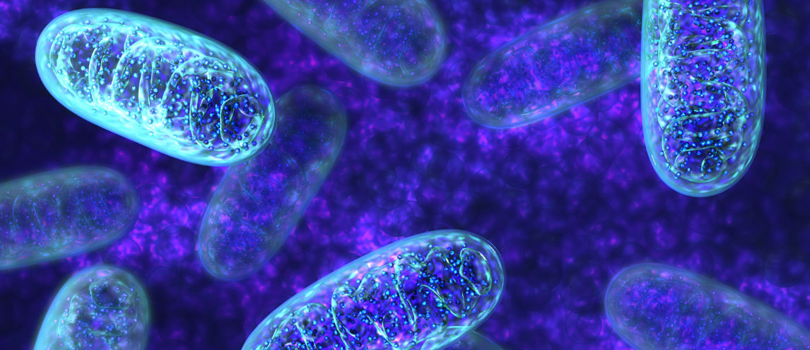 Is mitochondrial function abnormal?