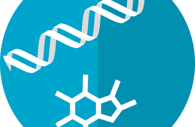 Metabolomic and immune alterations in long COVID patients with ME/CFS