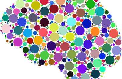 USA Brain Donation for ME/CFS research