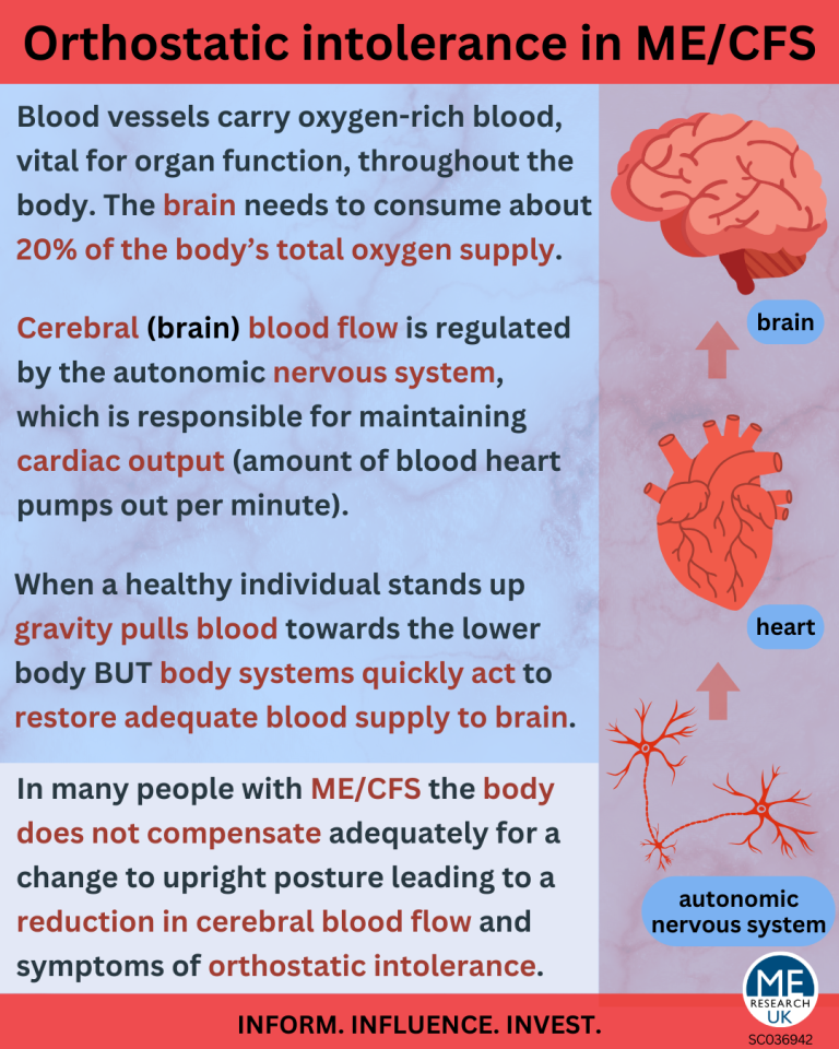 Orthostatic intolerance, cerebral blood flow, and ME/CFS