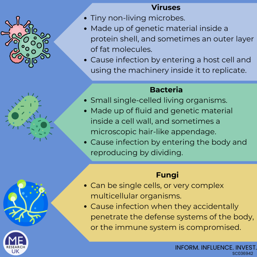 Infographic containing the following information: 
Viruses
Tiny non-living microbes.
Made up of genetic material inside a protein shell, and sometimes an outer layer of fat molecules.
Cause infection by entering a host cell and using the machinery inside it to replicate.
Bacteria 
Small single-celled living organisms.
Made up of fluid and genetic material inside a cell wall, and sometimes a microscopic hair-like appendage.
Cause infection by entering the body and reproducing by dividing. 
Fungi
Can be single cells, or very complex multicellular organisms. 
Cause infection when they accidentally penetrate the defense systems of the body, or the immune system is compromised.
Inform influence Invest. 
Charity number: SC036942