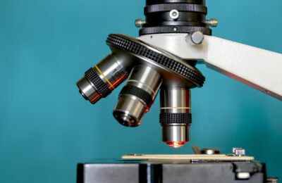 Nobel Prize in Physiology or Medicine awarded to scientists who discovered regulatory T cells