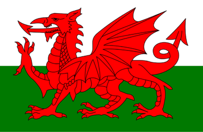 Welsh Parliamentary Motion on ME Debate postponed