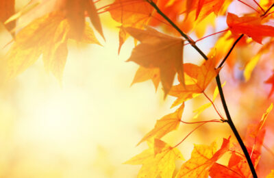 Breakthrough magazine, Autumn 2025