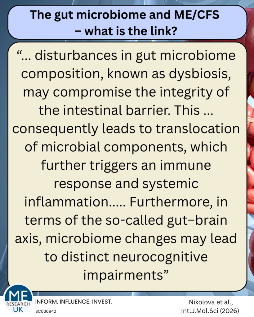 Infographic which reads: 
Title "The gut microbiome and ME/CFS -- what is the link? 

followed by a quote from the research article by 

“... disturbances in gut microbiome composition, known as dysbiosis, may compromise the integrity of the intestinal barrier. This ... consequently leads to translocation of microbial components, which further triggers an immune response and systemic inflammation..... Furthermore, in terms of the so-called gut–brain axis, microbiome changes may lead to distinct neurocognitive impairments” 

Reference: Nikolova et al., Int.J.Mol.Sci (2026)