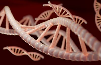 DNA Methylation in ME/CFS and Fibromyalgia